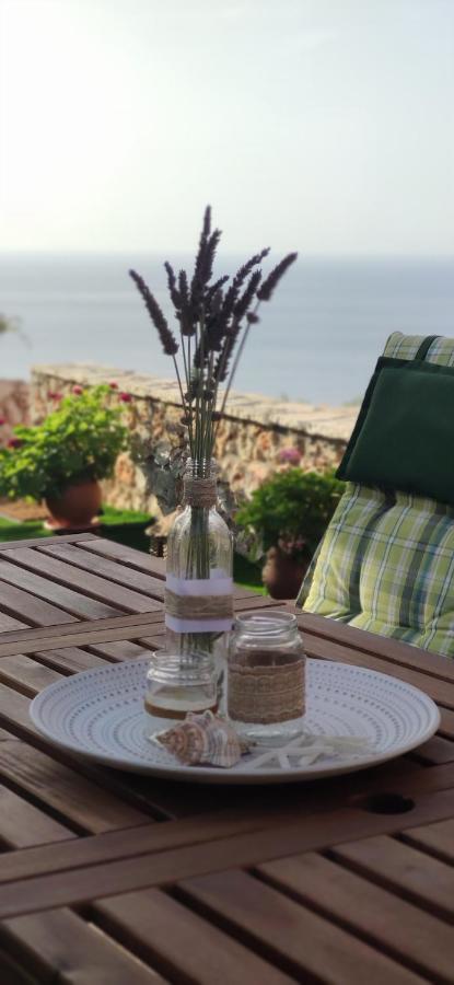Villa Nereid Glafki - Enjoy Summer Sunsets Áyios Nikítas Exteriör bild